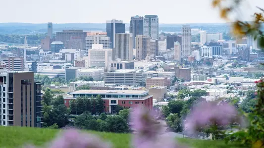 Scenic view of downtown Birmingham from a yard in the Highland Park neighborhood, 2019.