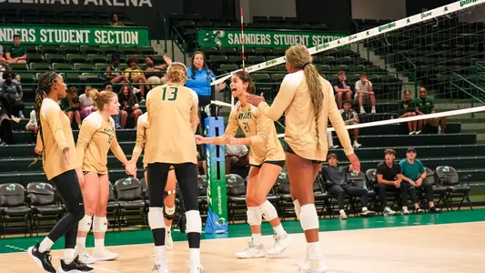 VB Team