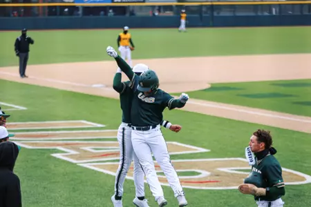 Baseball Celebration