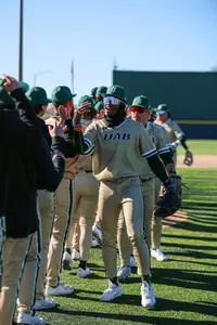 Baseball Celebration