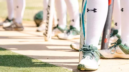 Softball Stock
