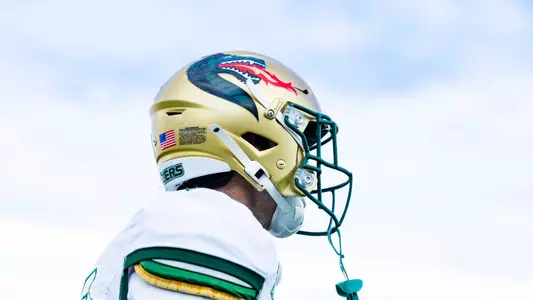 Helmet