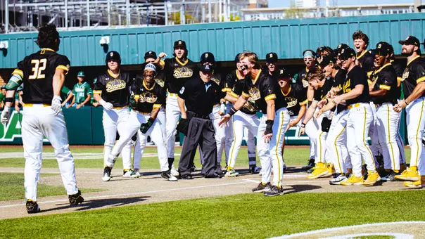Baseball Celebration