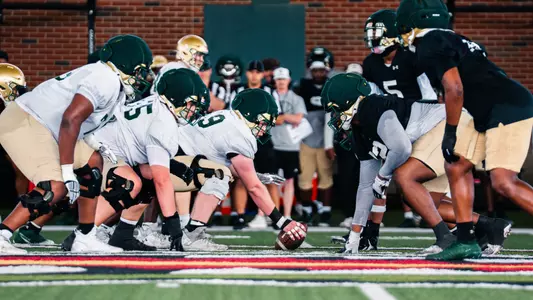 Spring Showcase 2026