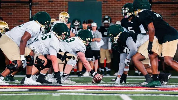 Spring Showcase 2026