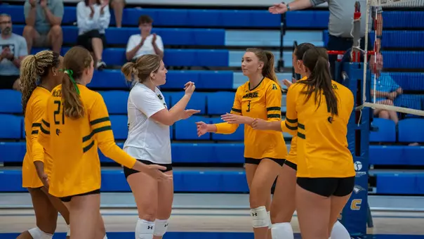 Abby Jones VB