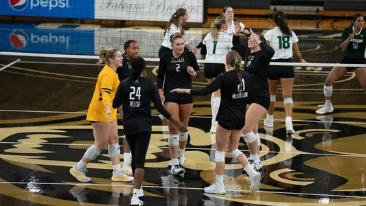 VB Team