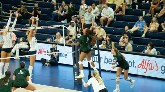 Kennedy Vaughn VB