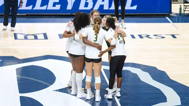 VB Team