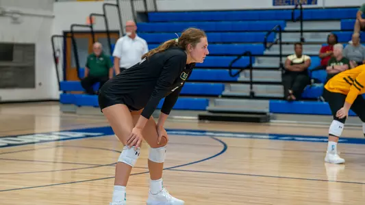 Rachel McCollum VB