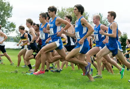 Men's Cross Country Vaults to 13th in Latest Rankings Image