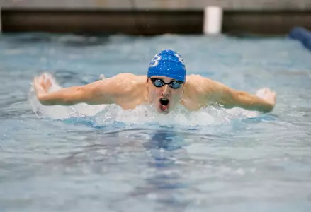 Bulls Swim Teams Ranked Ninth in Mid-Major Poll Image