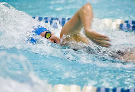 UB men's and women's swimming weekly release Image