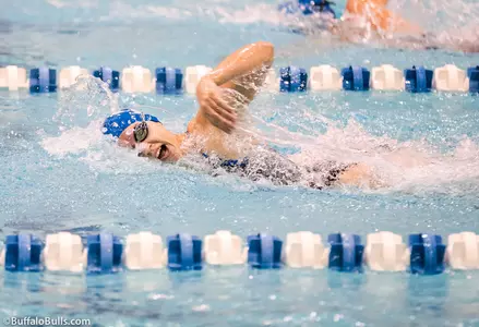 Bulls Zip Past Akron in Women's Swimming Image
