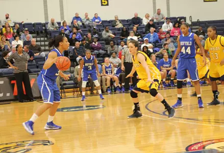 Bulls Drop Season-Opener at Canisius, 73-57 Image