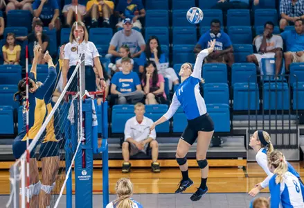 Five-Set Comeback Leads Bulls To UB Invitational Championship Image