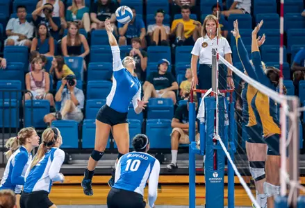 Bulls Begin Shamrock Invitational With Sweep Of Eastern Kentucky Image