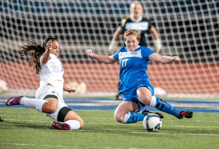 Bulls Drop Double-Overtime Match to Niagara Image