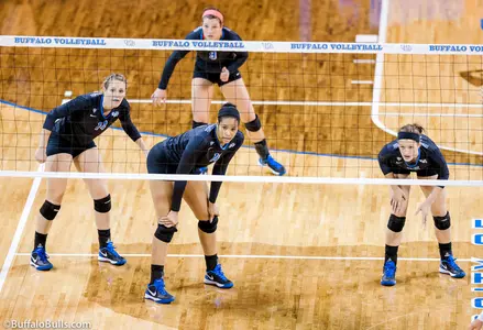 Bulls Fall In Three Sets To Western Michigan Image