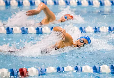 Bulls Drop Road Dual Meet at Ohio Image