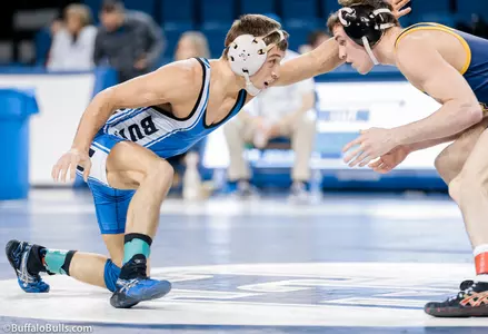 Buffalo Wrestling Closes Out 2013 At The Lock Haven Invite Image