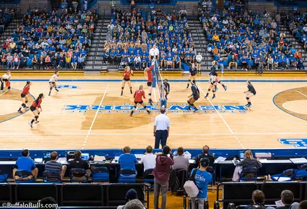 White Announces Changes To UB Volleyball Program Image