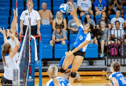 Bulls win 10th Straight With 3-0 Sweep Of Canisius Image