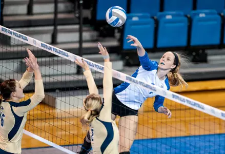 Bulls Sweep Maryland-Eastern Shore In Saturday Tournament Action Image