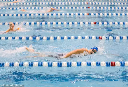 Bulls Dominant in Sweep of Niagara Image