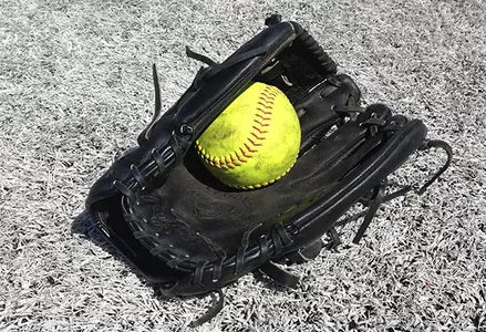 Softball Doubleheader Against Detroit Canceled Image