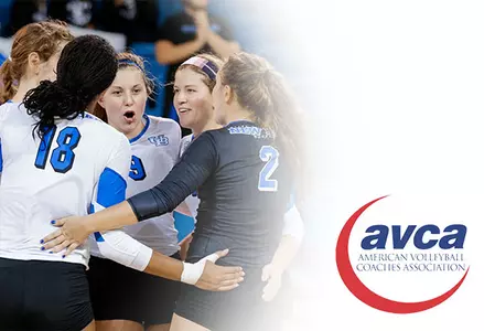 UB Volleyball Earns AVCA Team Academic Award Image