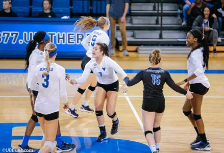 Volleyball Returns To Buffalo To Begin Five-Match Homestand Image