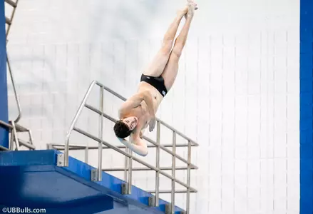 Quartet Reaches NCAA Zone Diving Championships Finals Image