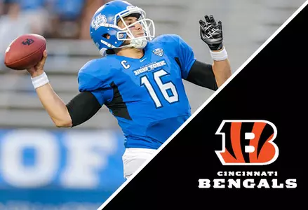 Licata Signs with the Cincinnati Bengals Image
