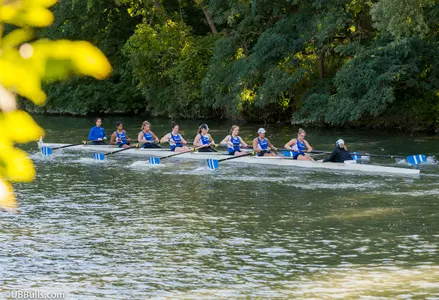 Bulls Open Season Against Canisius and D'Youville Image