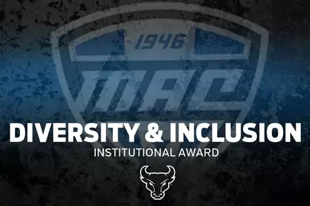 Diversity Award