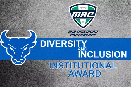 Diversity & Inclusion Institutional Award