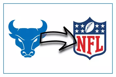 Bulls in the NFL