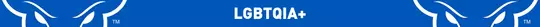 LGBTQIA+ Banner Top