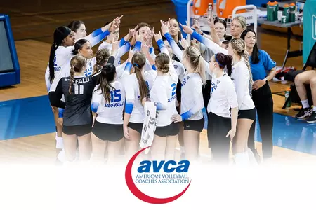 2023 AVCA Academic Excellence