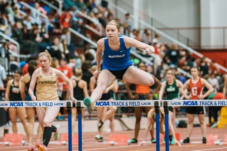 Ellsworth Hurdle