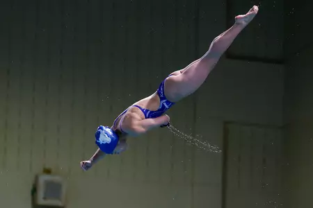 Kaylee Donovan Dive