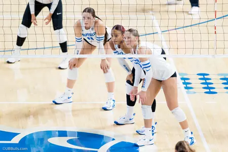 Bulls Fall to No. 25 Dayton Image