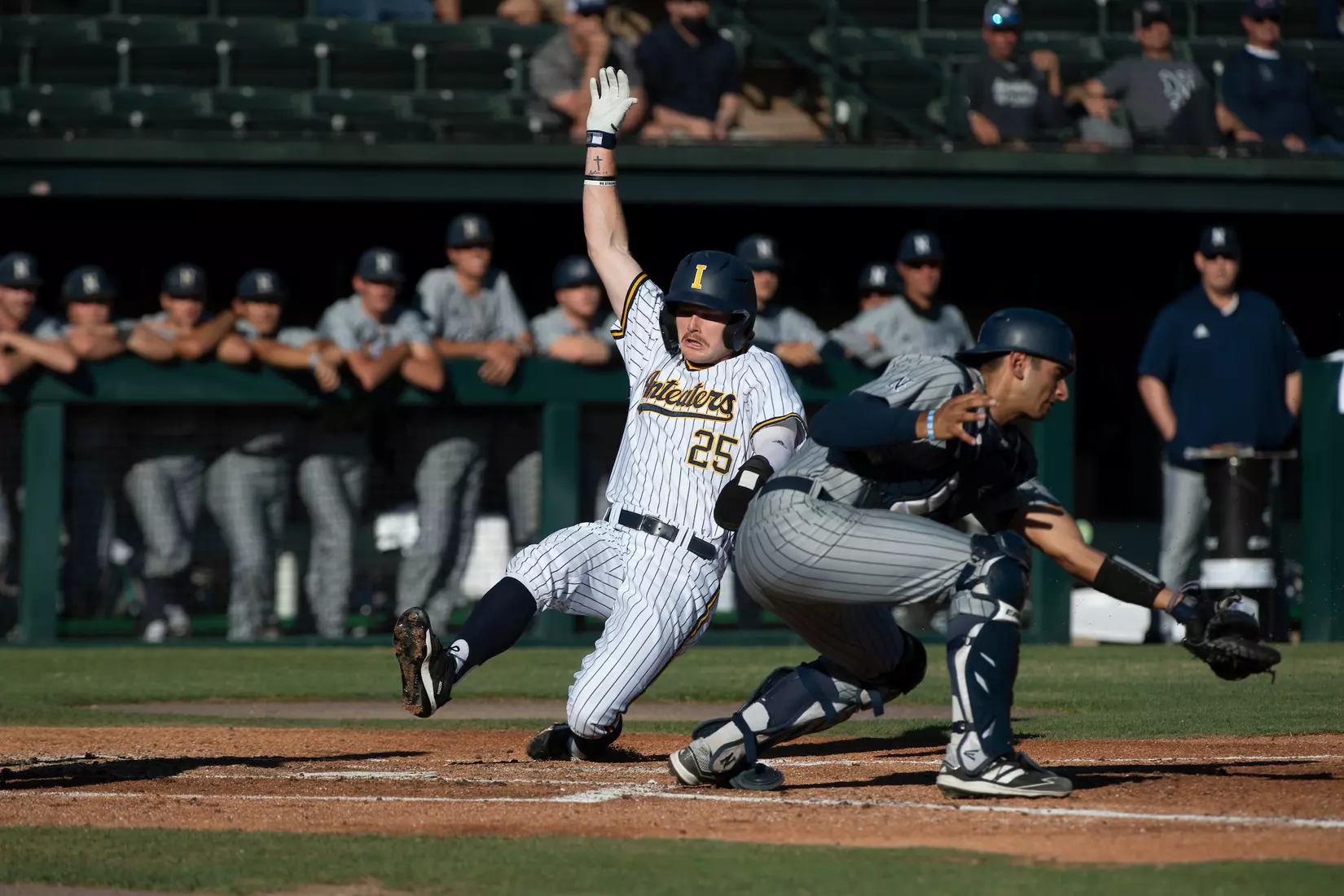 NCAA Regional vs Nevada