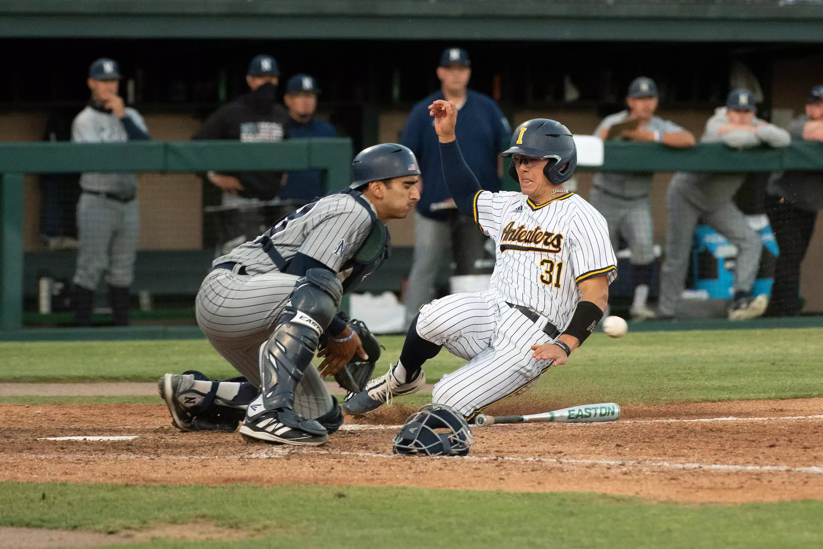 NCAA Regional vs Nevada