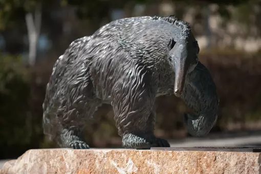 Bronze Anteater in front of Bren Center