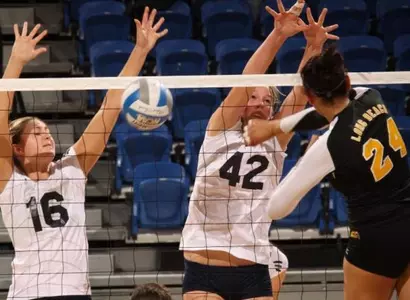 Anteaters Sweep Seattle Image