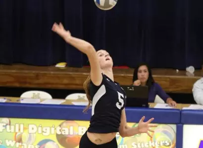 Anteaters Swept By UC Santa Barbara Image
