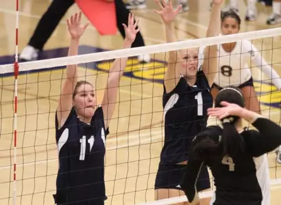 Anteaters Unable to Hold Off Rallying Tigers Image