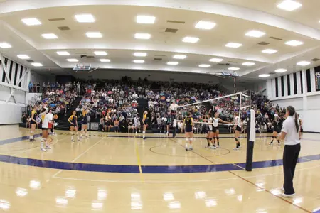 UC Irvine, No. 9 Hawai'i Thrill Sold-Out Crowd; Anteaters Fall to 'Bows In Five Image
